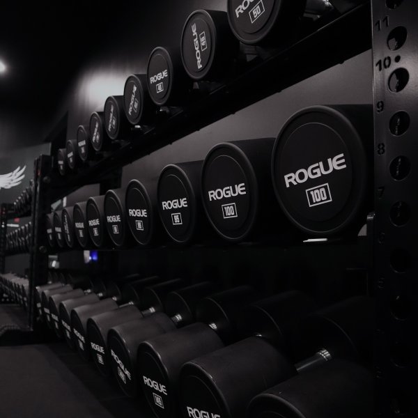 Rogue Urethane Dumbbells - Weight Training | Rogue Fitness