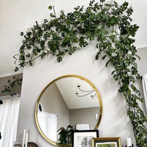 Layne Rectangular Wall Mirror