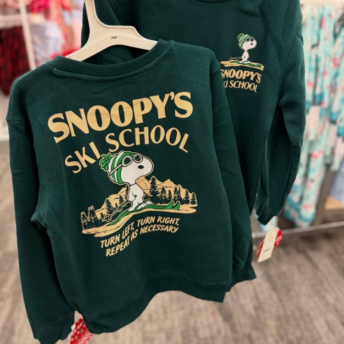 user image by @alleyezonfindz, Boys' Snoopy Ski School Fleece Front and Back Graphic Sweatshirt - Green