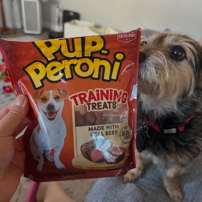 user image by @anna.fries.tries, Pup-Peroni Treats Peroni Beef Flavor Training Chewy Dog Treats - 5.6oz