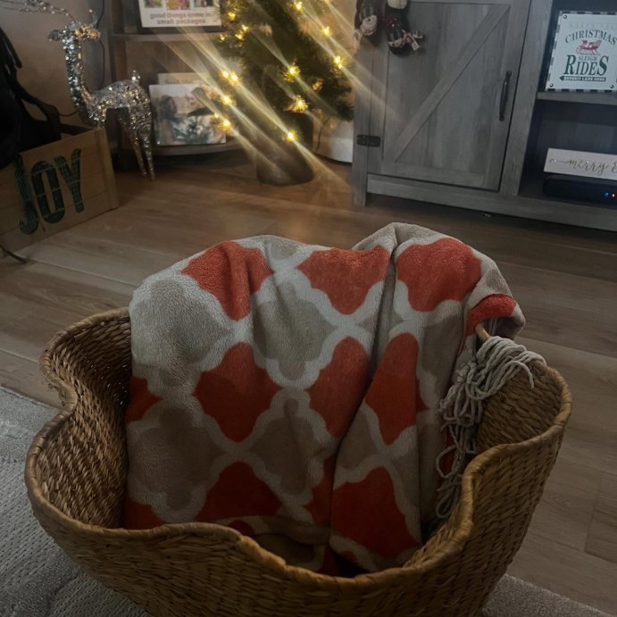 user image by @mom_on_the_run68, Woven Scallop Edge Basket - Threshold™