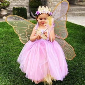 Lavender Butterfly Fairy Halloween Costume