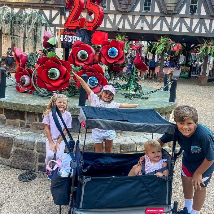 user image by @allywash_, Radio Flyer Trav’ler Stroll 'N Wagon with Protective Cover for Kids Ages 1+, 120 lb Capacity, Black – Push or Pull Foldable Travel Stroller Cart with