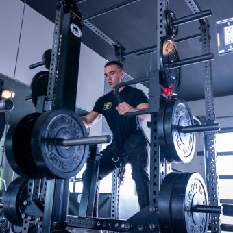 Rogue Monster Rhino Belt Squat - Drop-In | Rogue Fitness UK