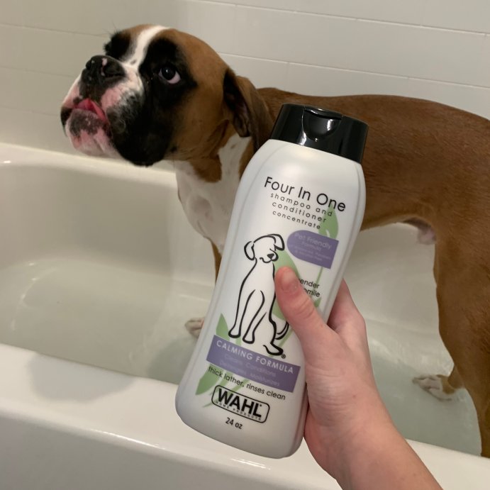 user image by Teddy Bear Spaghetti , Wahl Four-In-One Fresh Scented Calming Formula Dog Shampoo and Conditioner - 24oz