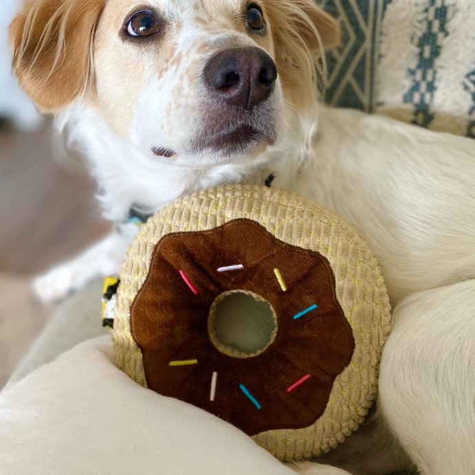user image by @liljackson_bigworld, TrustyPup Chocolate Donut Durable Plush Dog Toy