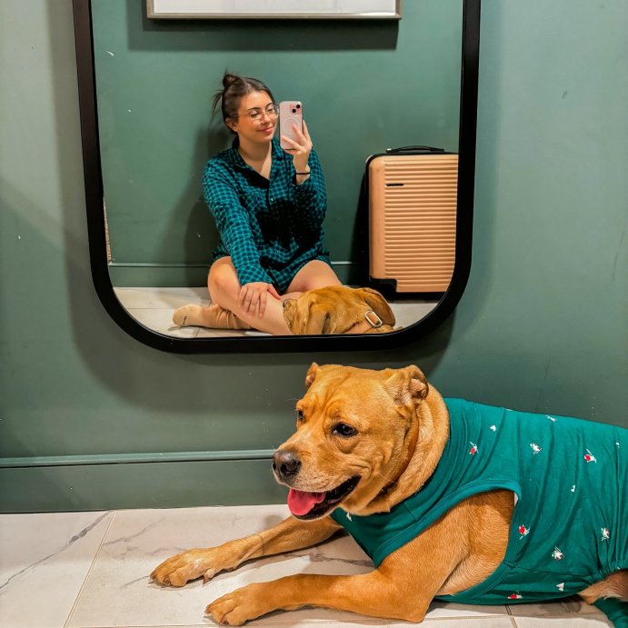 user image by @keelielois, Polar Bear Print Jersey Holiday Matching Family Dog and Cat Pajamas - Wondershop™ Green