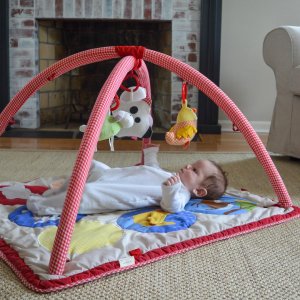 Skip hop store farmyard activity gym