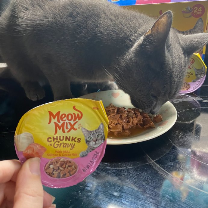user image by @nerdy___katie, Meow Mix Seafood Selections Wet Cat Food with Shrimp, Salmon, Crab &#38; Tuna Flavor - 2.75oz/24ct Variety Pack