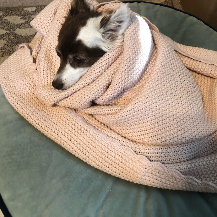 user image by @whosthatgirl_k, Scalloped Trim Knit Baby Blanket - Hearth & Hand™ with Magnolia
