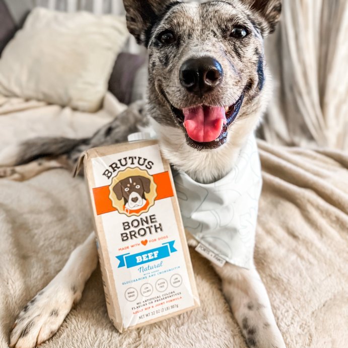 user image by @heykea, Brutus Bone Broth Hip &#38; Joint Formula Wet Dog Food - Supplement - Beef - 32oz