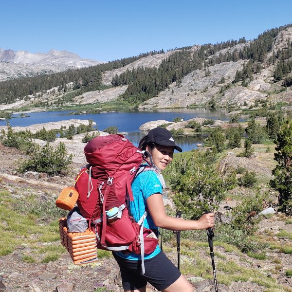 Black Diamond Distance Z Trekking Poles - Pair | REI Co-op