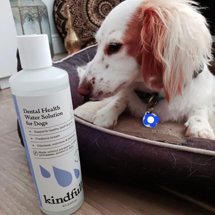 user image by @ym_reviews, Dental Health Solution for Dogs - 16 fl oz - Kindfull&#8482;