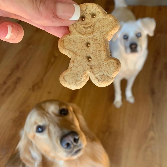 user image by @bentleymcneil, Buddy Biscuits Oven Baked Crunchy Peanut Butter Dog Treats