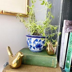User generated image 13