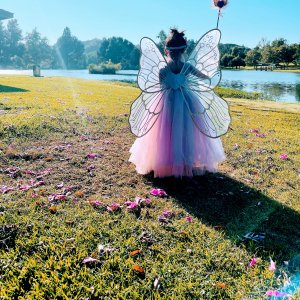 Lavender Butterfly Fairy Halloween Costume