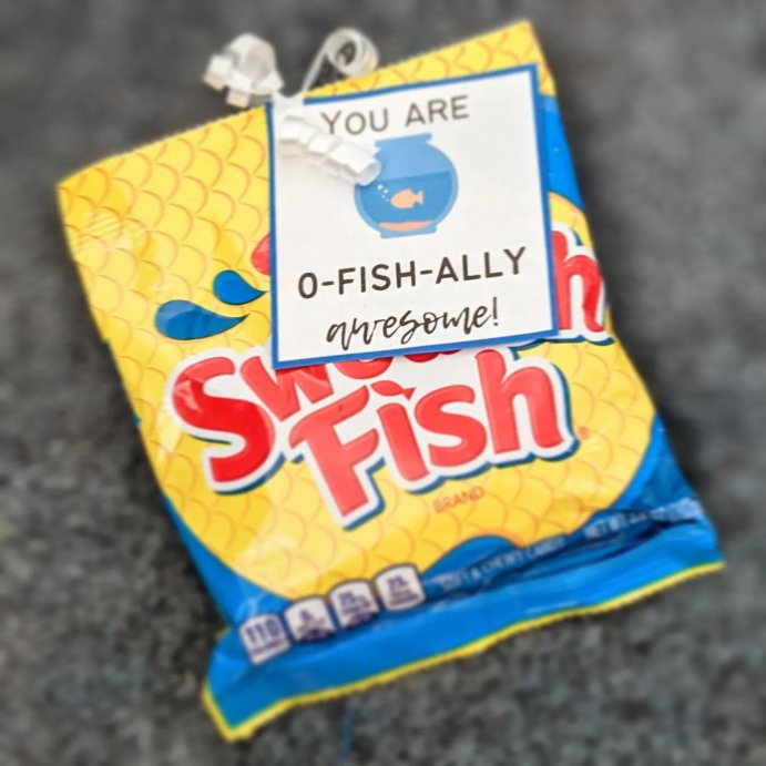 user image by @kbinloudoun, Swedish Fish Soft &#38; Chewy Candy - 3.1oz