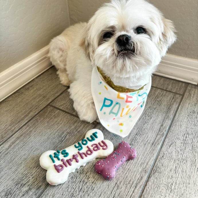 user image by @deeodisho_xo, Molly&#39;s Barkery Birthday Bones Apple Cinnamon Flavor Dog Treats - 5.89oz