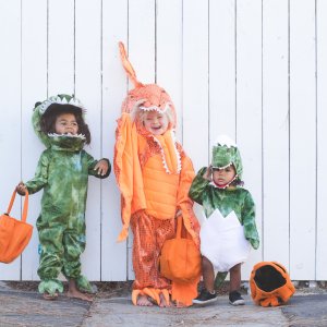 Light-Up Pterodactyl Halloween Costume