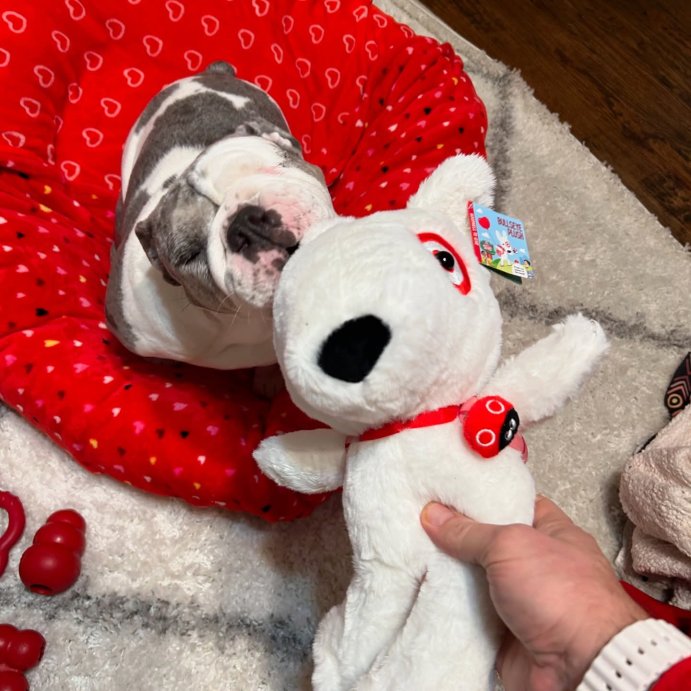 user image by @ballparkbulldog, Target 10&#39;&#39; Bullseye Plush Dog (Target Exclusive)
