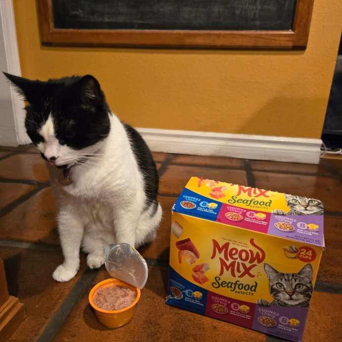 user image by @thesparklemermaid, Meow Mix Seafood Selections Wet Cat Food with Shrimp, Salmon, Crab &#38; Tuna Flavor - 2.75oz/24ct Variety Pack