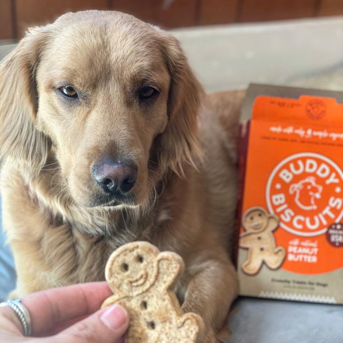 user image by @buddyboysohandsom3, Buddy Biscuits Oven Baked Crunchy Peanut Butter Dog Treats