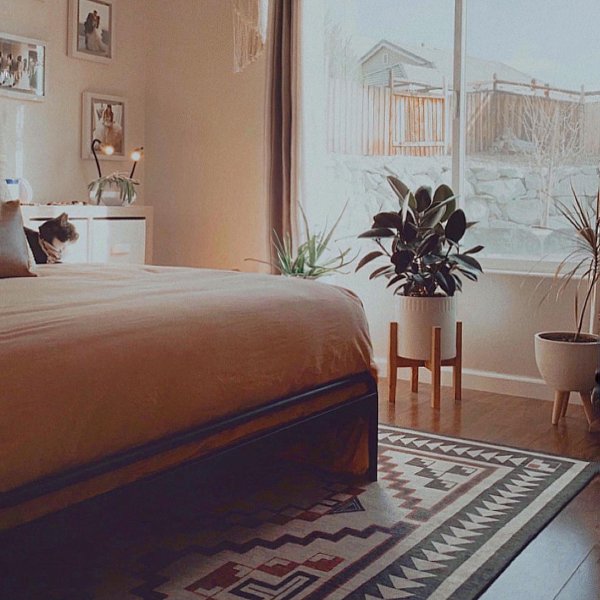 Cat Rugs Buy A Cat Rug Or Cat Area Rug Cat Proof Rugs By Ruggable