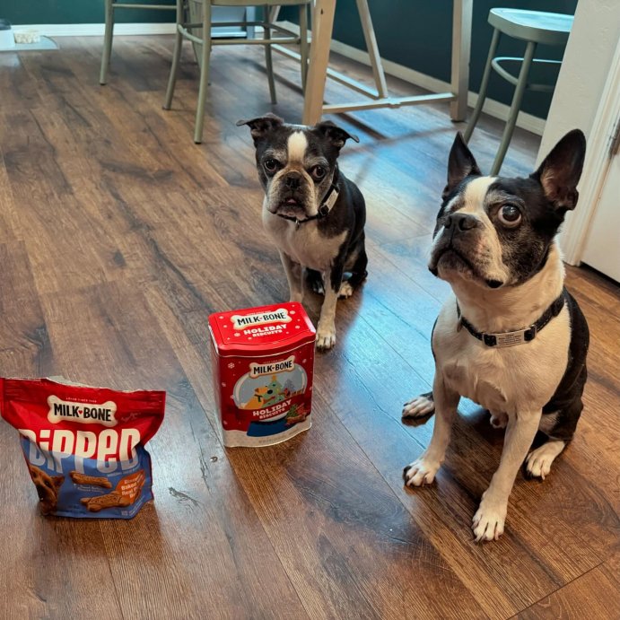 user image by @chsingshdows, Milk-Bone Dipped Peanut Butter Crunchy Dog Treats