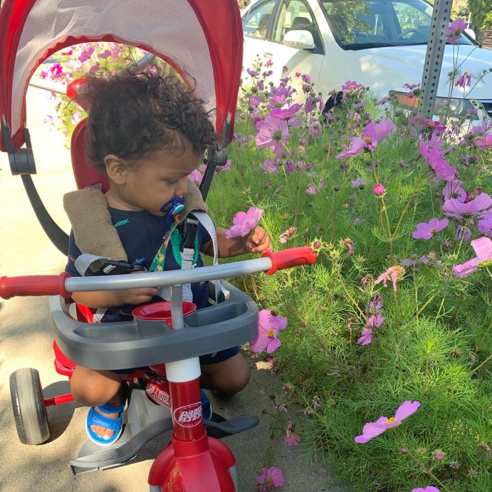 user image by @maximiliano_rocks, Radio Flyer 4-in-1 Stroll 'N Trike