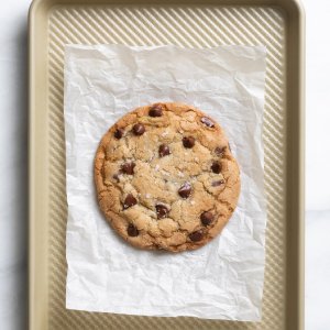 Williams Sonoma Goldtouch® Pro Nonstick Corrugated Cookie Sheet