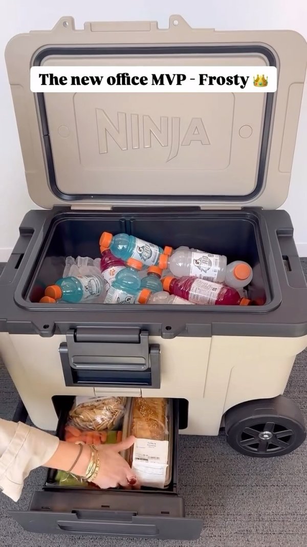 Ninja FrostVault™ 65qt Cooler with Wheels in Birch Beige | SharkNinja