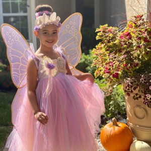 Lavender Butterfly Fairy Halloween Costume