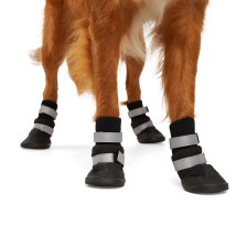 Shop Petco All-Weather Reflective Slip-On Dog Winter Boots, Black and more