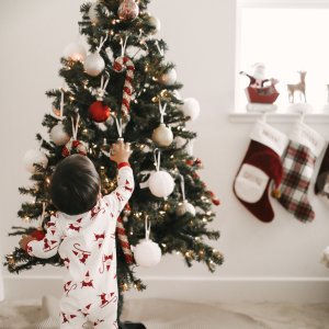 Shatterproof Sherpa Ornaments, Set of 6