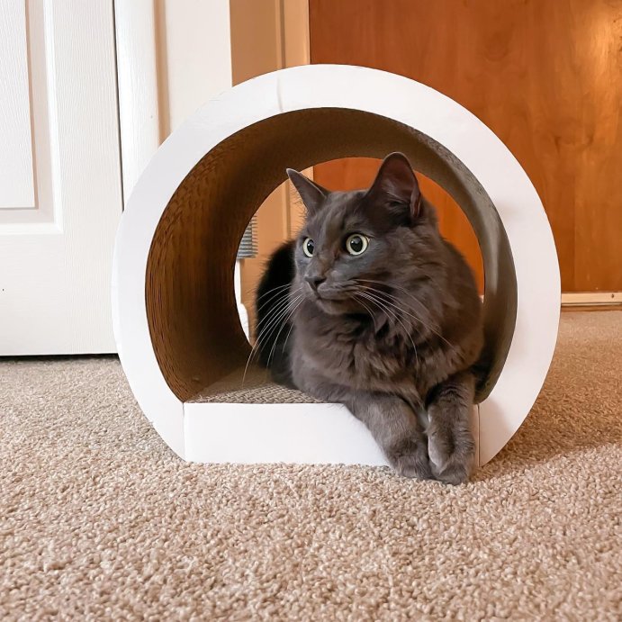 user image by @smokesandbands, Tunnel Cat Scratcher - Boots &#38; Barkley&#8482;