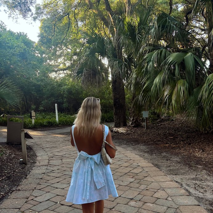 user image by @ashliroberts, Women's Bow Back Mini A-Line Dress - Wild Fable™