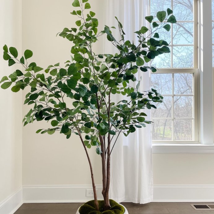 user image by @yourdesignerbff, 72&#34; Artificial Ficus Tree - Threshold&#8482; designed with Studio McGee