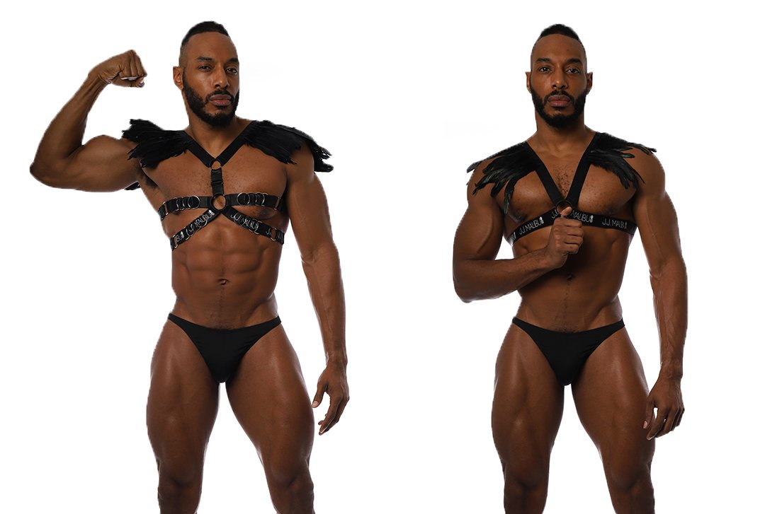 Shop Glory Harness, Phoenix Harness and more