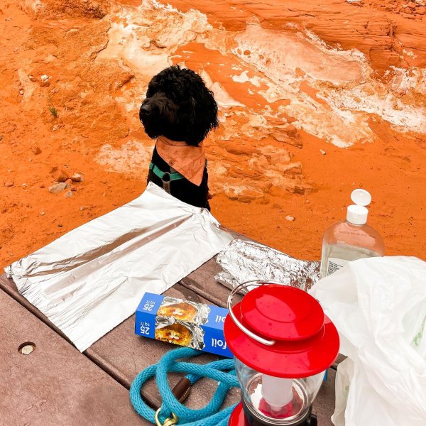 ライト・ランタン Coleman Season's Lantern 2018 Coleman Seasons Lantern 2018 Limited Edition Yellow Cute Japan