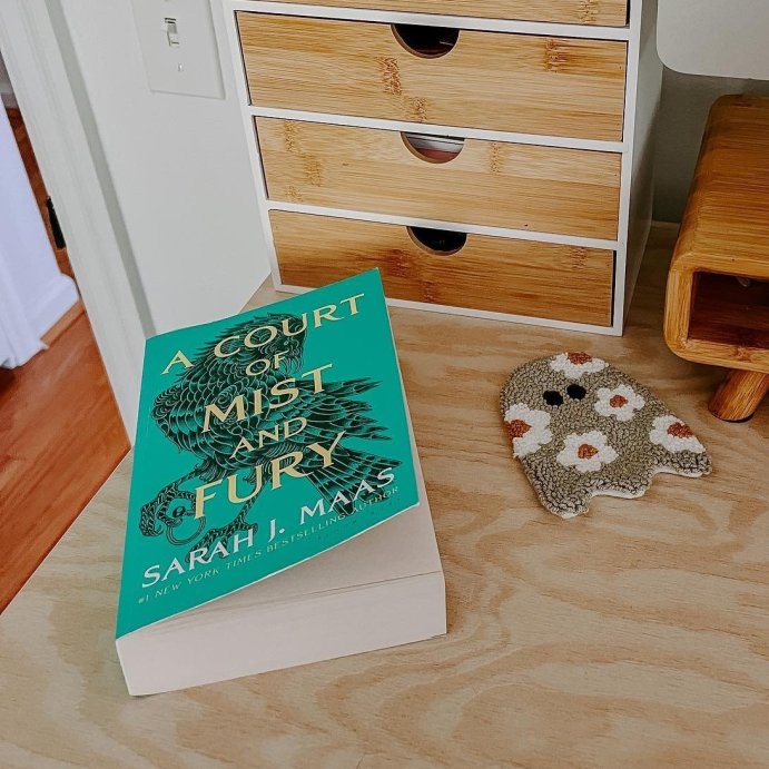 user image by @katierosiee, A Court of Mist and Fury - (Court of Thorns and Roses) by Sarah J Maas