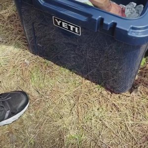 Social Content from @dickssportinggoods 1