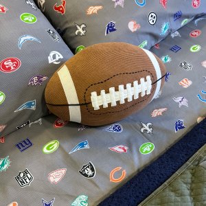 NFL Brights Logo Sheet Set