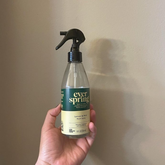 user image by @imperfectcleaning, Room Spray - Lemon &#38; Mint - 8 fl oz - Everspring&#8482;