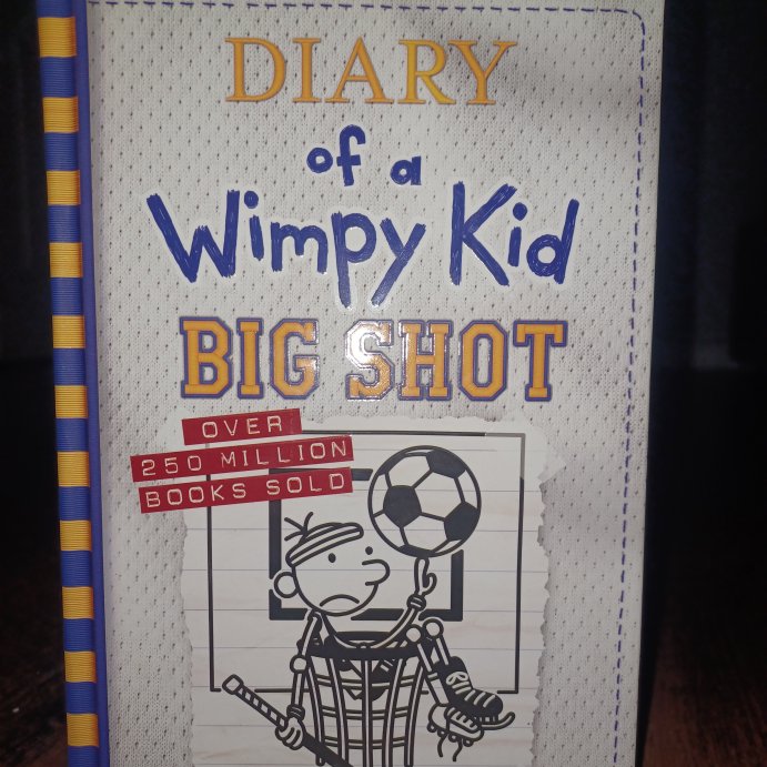 user image by Brianna, Diary of a Wimpy Kid 16 - Target Exclusive Edition by Jeff Kinney (Hardcover)