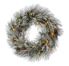 Shop CANVAS Charlotte LED Pre-Lit Christmas Decoration Snow-Dusted Wreath, 24-in and more