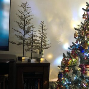 User generated image 9