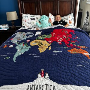 Brendan Animals Organic Sheet Set & Pillowcases | Pottery Barn Kids