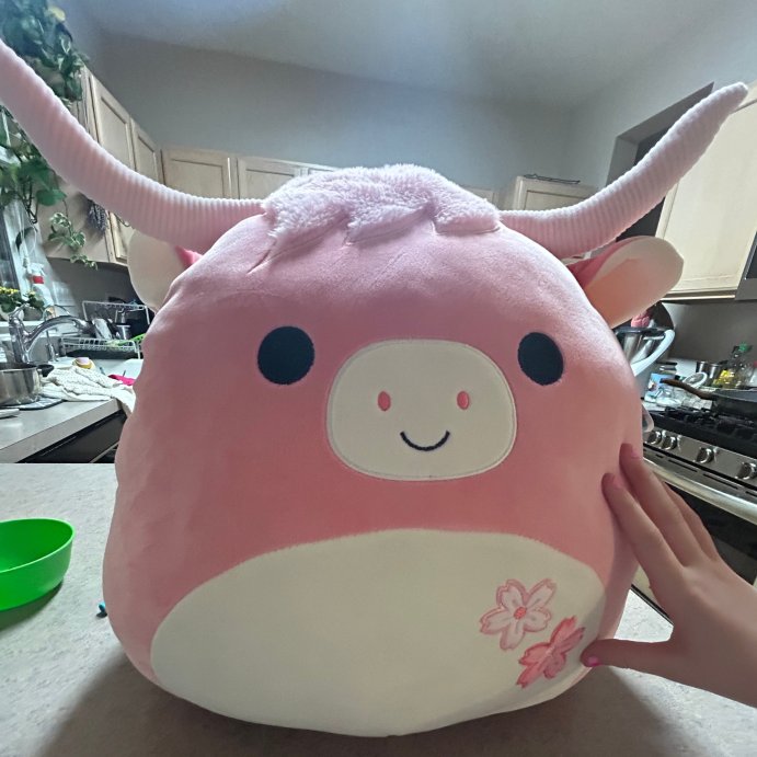 user image by Cute preppy cow, Squishmallows 16&#34; Pink Highland Cow with Sakura Flowers Large Plush
