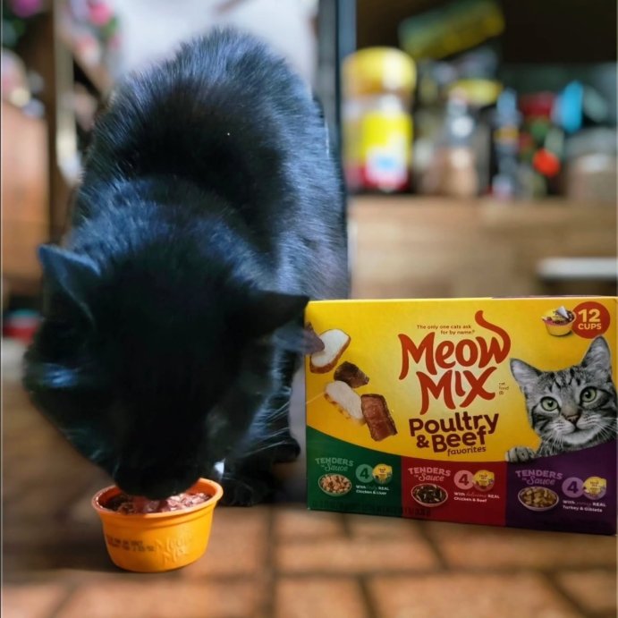 user image by @misia_313, Meow Mix Tender Favorites Liver Turkey Chicken and Beef Flavor Wet Cat Food - 33oz
