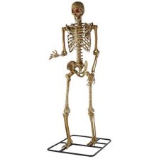 Shop For Living Battery Powered Skeleton with LED Eyes, 10-ft and more